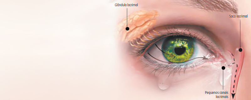 Clinica Bolzan Oftalmologia - Blog - Sindrome do olho seco