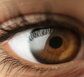 5 doenças que mais provocam a cegueira
